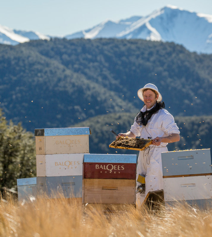 For a touch of sweetness in Velvet Blend we use Black Beech honeydew. We produce numerous varieties of honey on our farm including mulitiflora and 820 + MGO active Mãnuka honey.