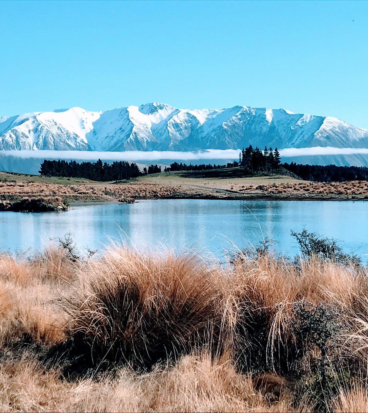 One of the many lakes on our high country farm. Located in the South Island of New Zealand, we are the custodians of a 10,000 acre station. In 2024 we were awarded the prestigious 'most sustainable farm in New Zealand' award. Among the animals we raise include red deer from which we collect the world's foremost source of deer velvet, a key ingredient in Velvet Blend by Rockwood Forest.