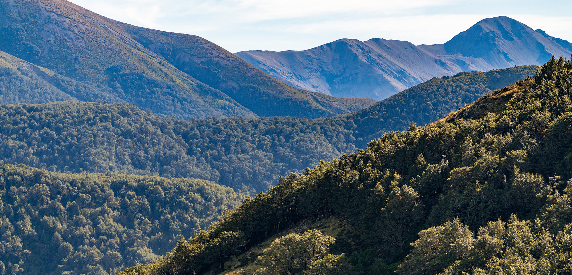 One of the many vistas from our farm in the South Island of New Zealand. Seen here on the mountains are many Beech Trees, which is the source of the honeydew we use in Velvet Blend by Rockwood Forest.